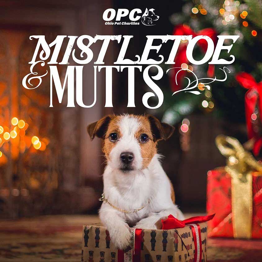 Mistletoe & Mutts 2025